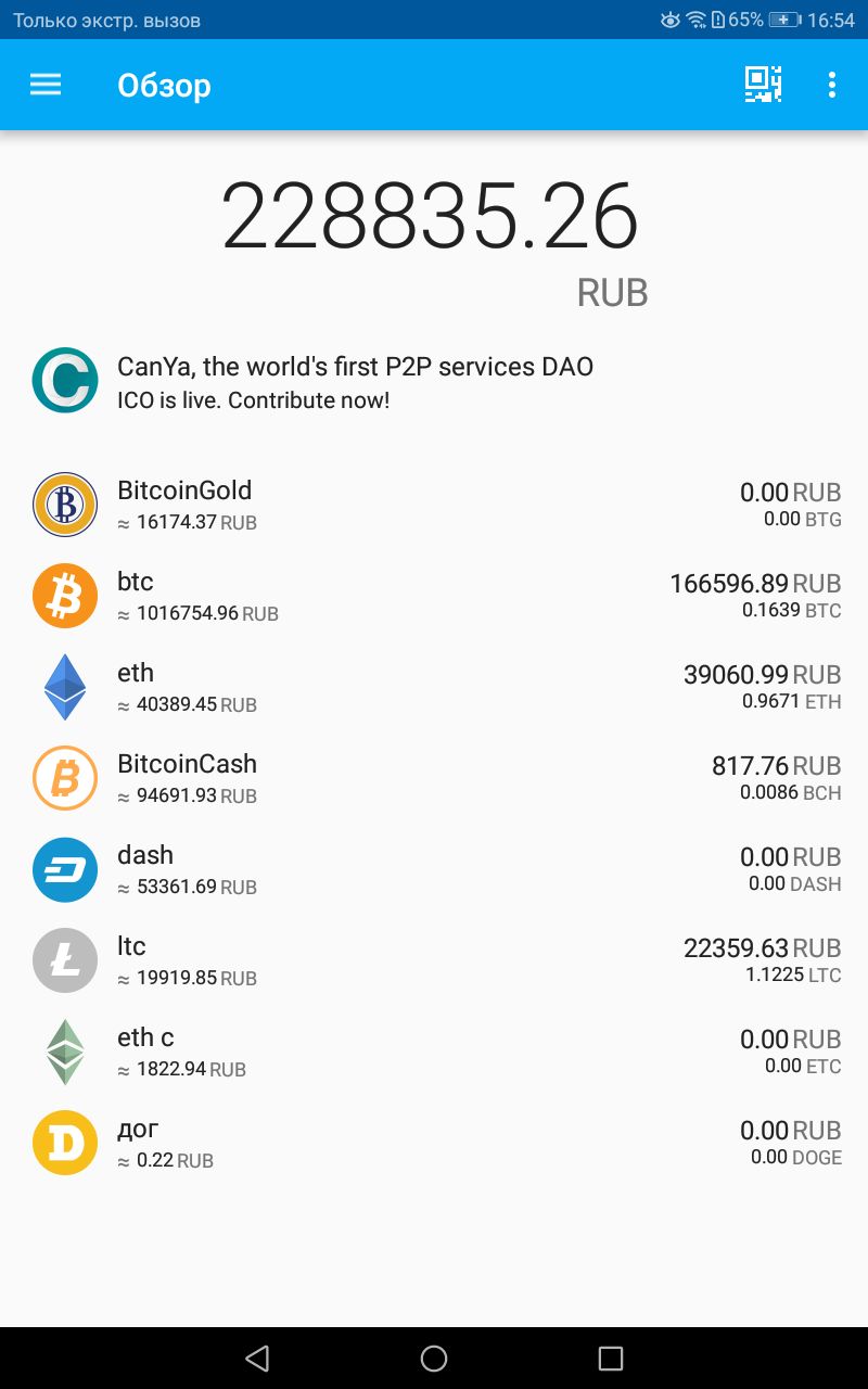 Криптовалютный портфель ico-крипто-мужика